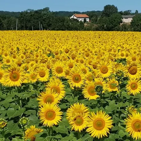 Nocleg ze śniadaniem Les Grands Bois Badefols-sur-Dordogne