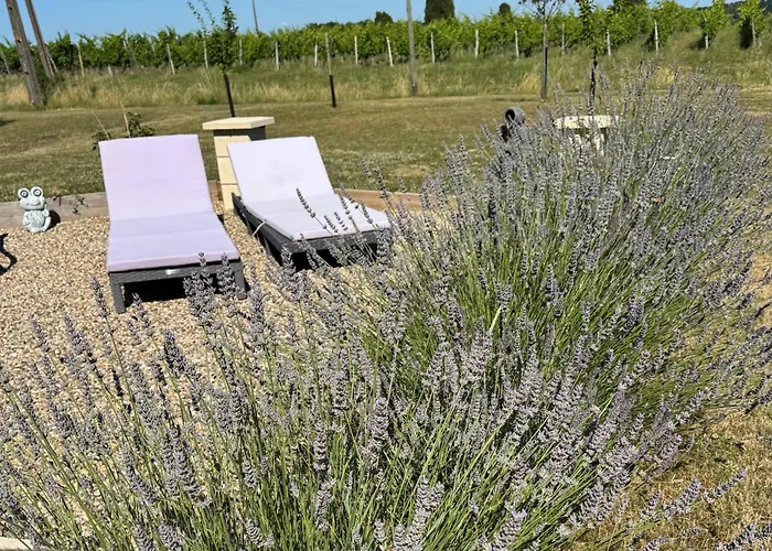 Les Grands Bois Oda ve Kahvaltı 3*